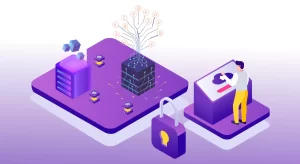 Crypto-Fees-for-VPS-Users-300x164 Crypto Fees for VPS Users