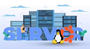 Ubuntu-linux-server-300x164 Ubuntu Linux Server