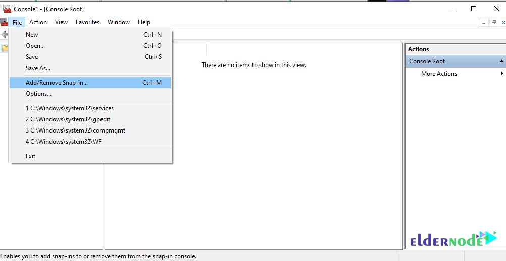 snap-in snap in web server