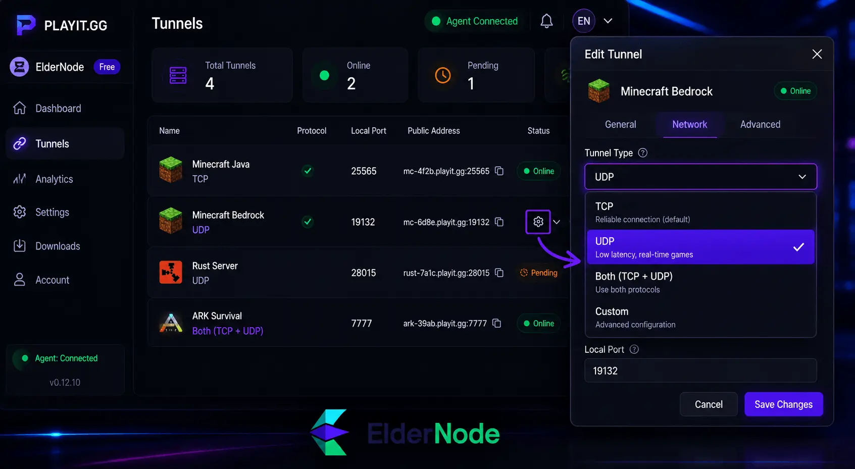 Playit.gg tunnel management dashboard