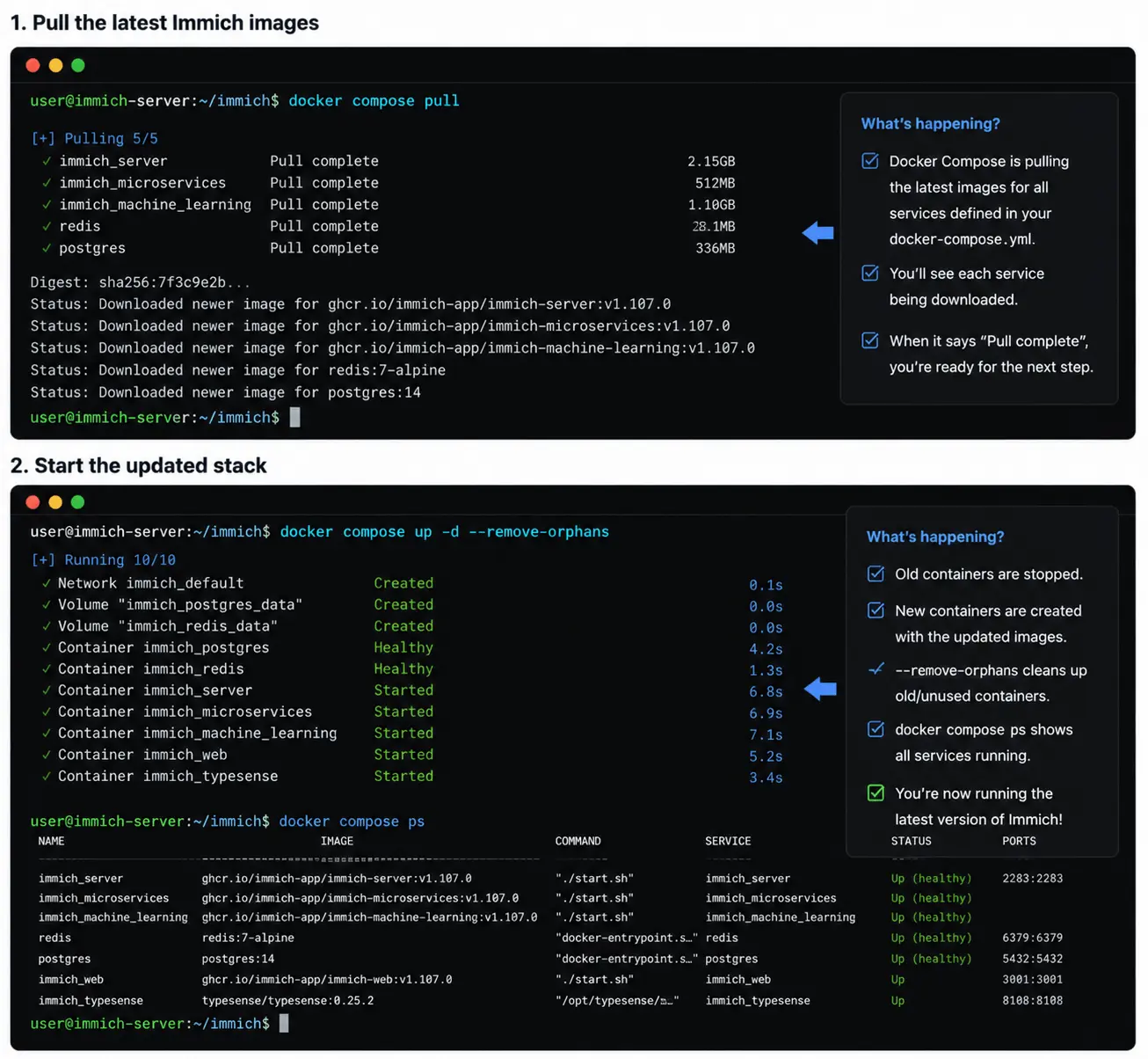 Infographic Docker Compose update Immich