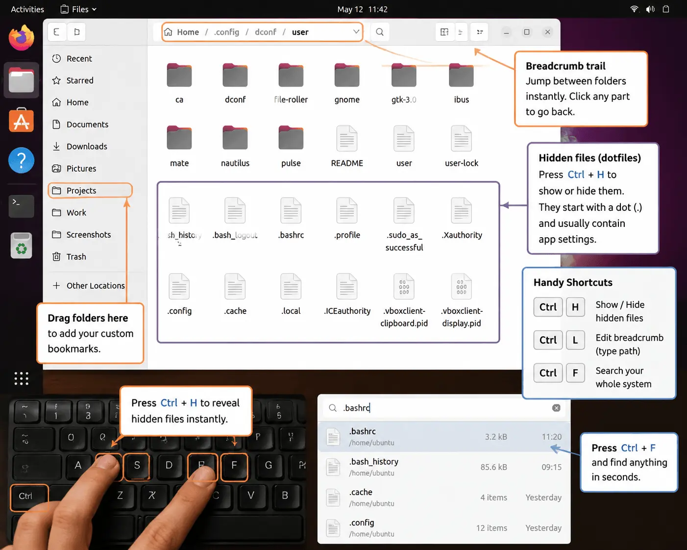 infographic Finding Hidden Files Without the Detective Work