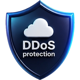 DDoS protection