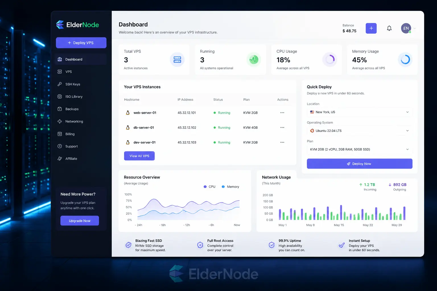 Linux VPS control panel dashboard