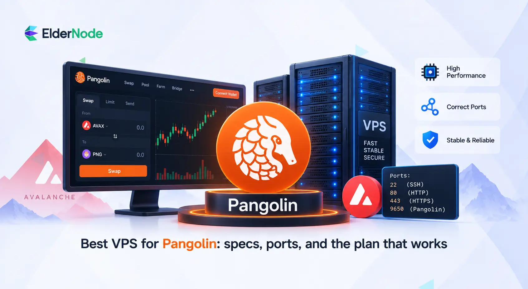 Best VPS for Pangolin: Specs, Ports and Plan Guide